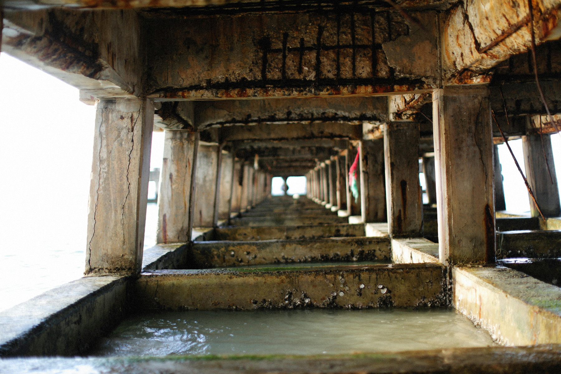 Concrete Spalling & Structural Repair
