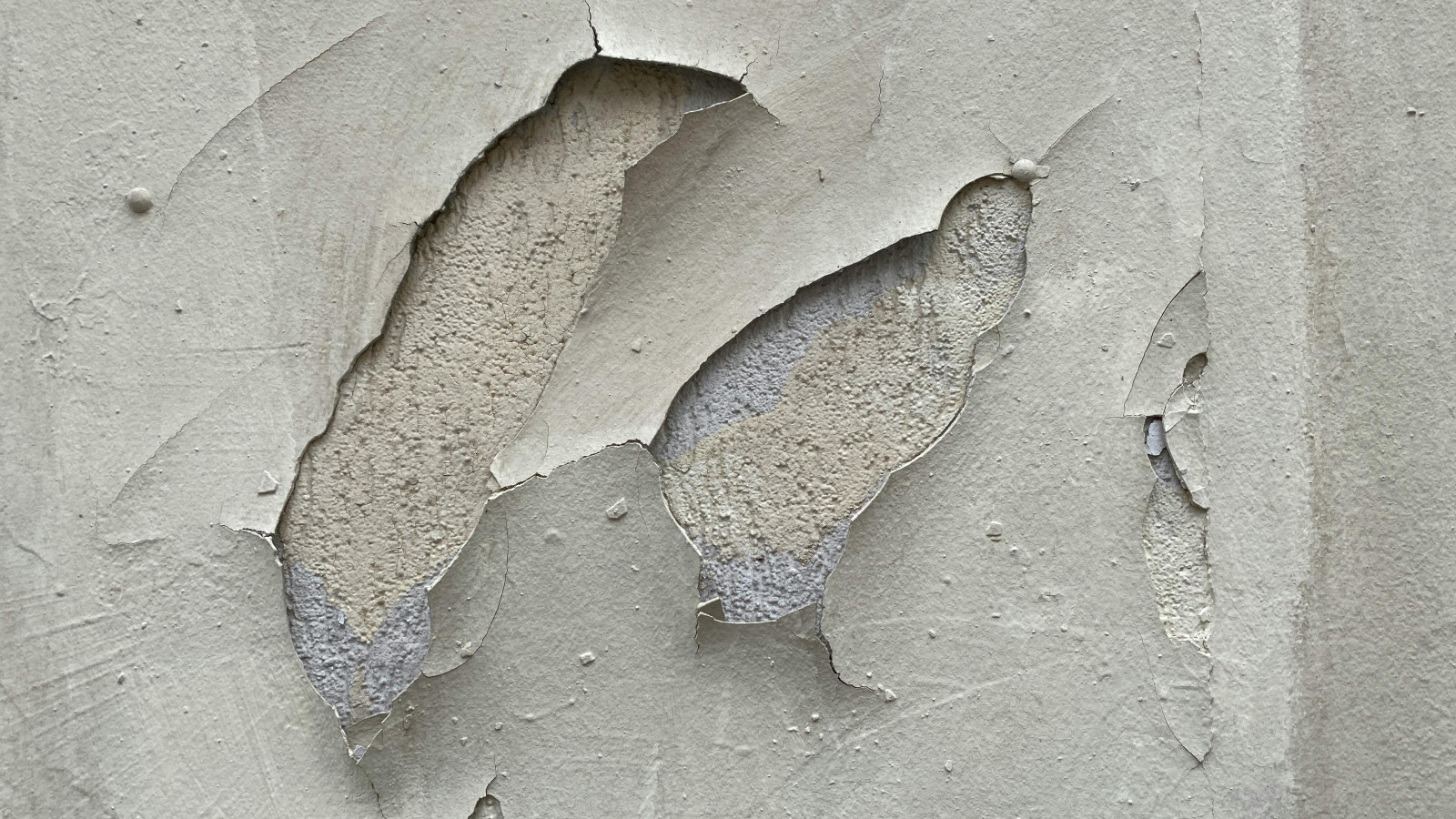 Render Repairs & Painting